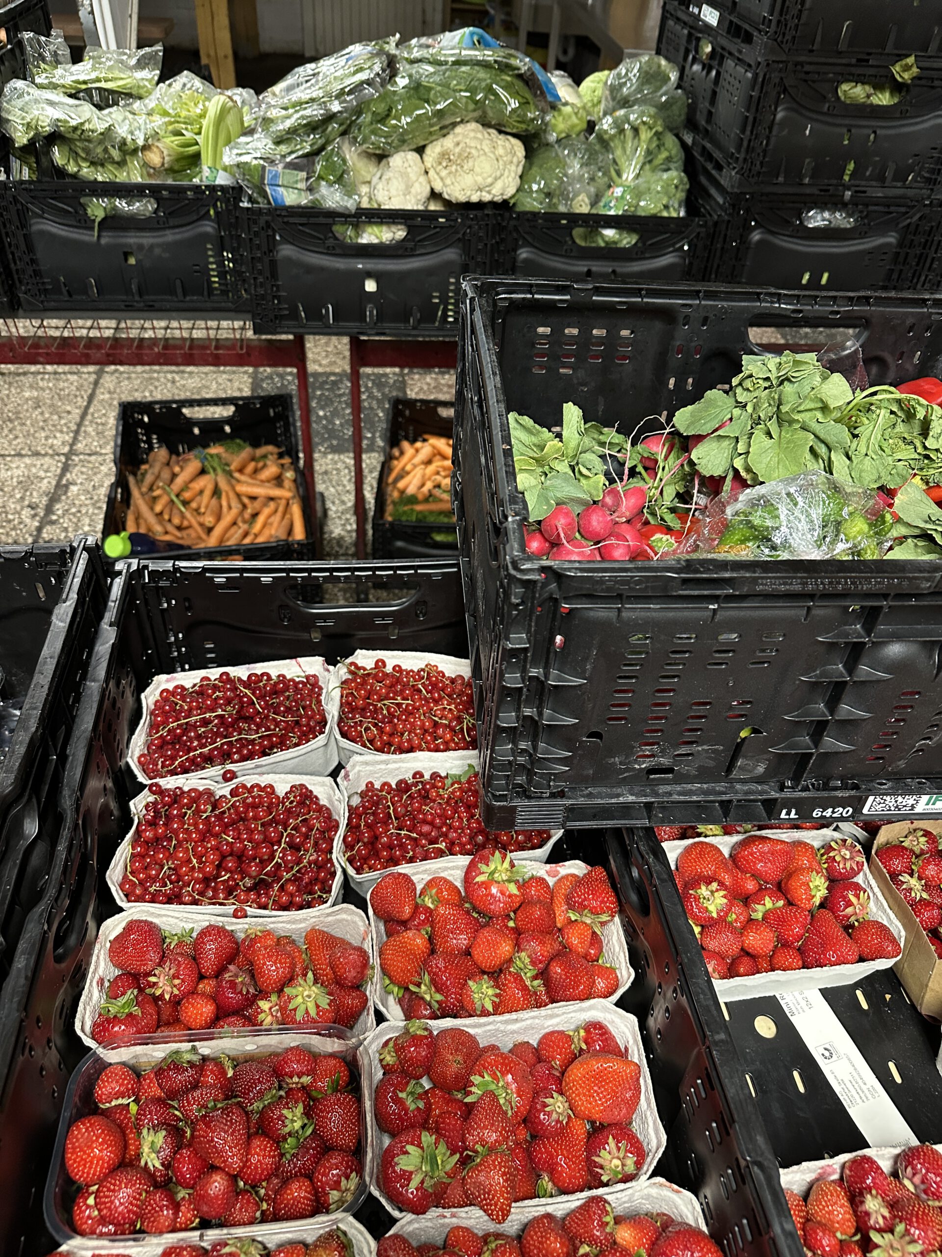 Frisches Obst und Gemüse sind gerne gesehen bei der Tafel